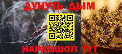 шишки Кимры