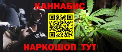 шишки Кимры